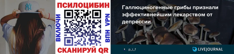 Псилоцибиновые грибы мицелий  наркота  Иркутск 